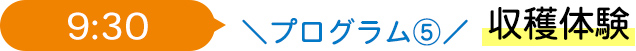 9:30 プログラム5 収穫体験
