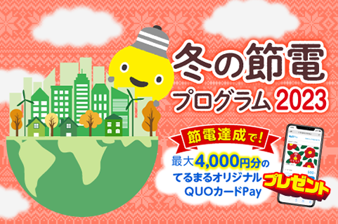 コアラ】非売品 完品 東急パワーサプライ てるまるオリジナルPASMO