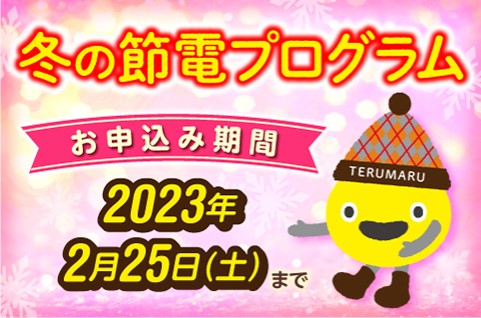 東急パワーサプライ てるまるPASMO 限定デザイン 鉄道 電車