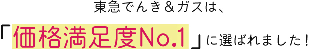 東京でんきガスは、「価格満足度No.1」に選ばれました！