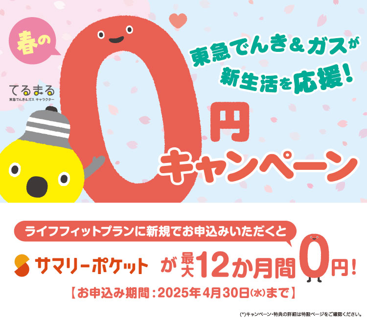 ゅゅぃ様 確認ページ （ご利用明細のご確認：ビューカード）