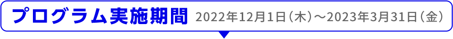 プログラム実施期間