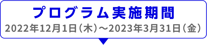 プログラム実施期間