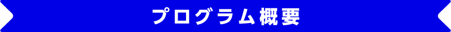 プログラム概要